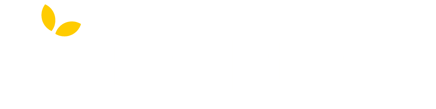 Bright Tax logo