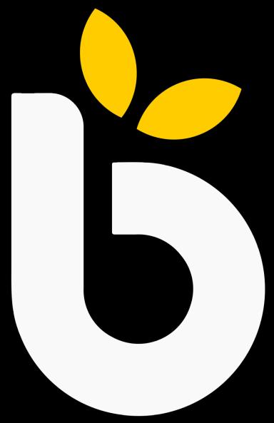 Bright Tax logo